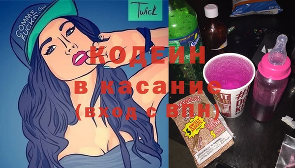 крисы Алексин