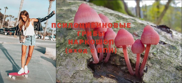 гидропоника Армянск