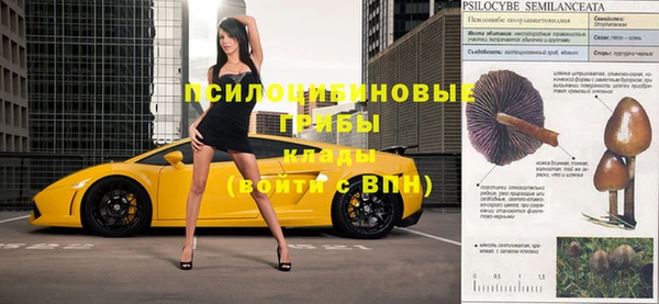 дурь Арсеньев