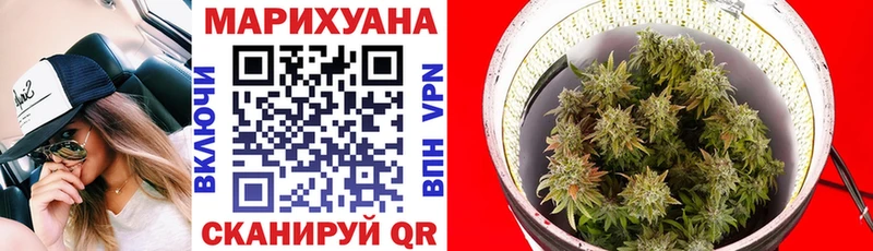 Канабис сатива блэк спрут ссылка Лукоянов